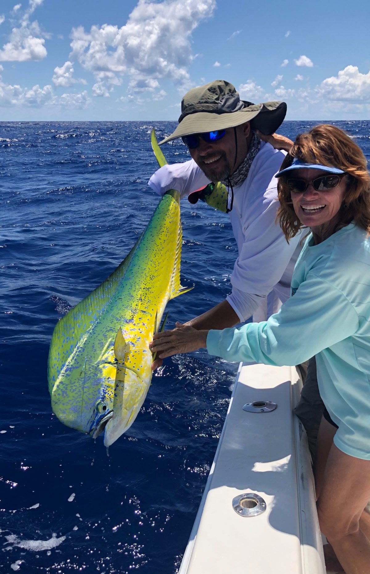 STAR and the Dolphinfish Research Program