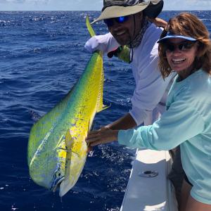 STAR and the Dolphinfish Research Program